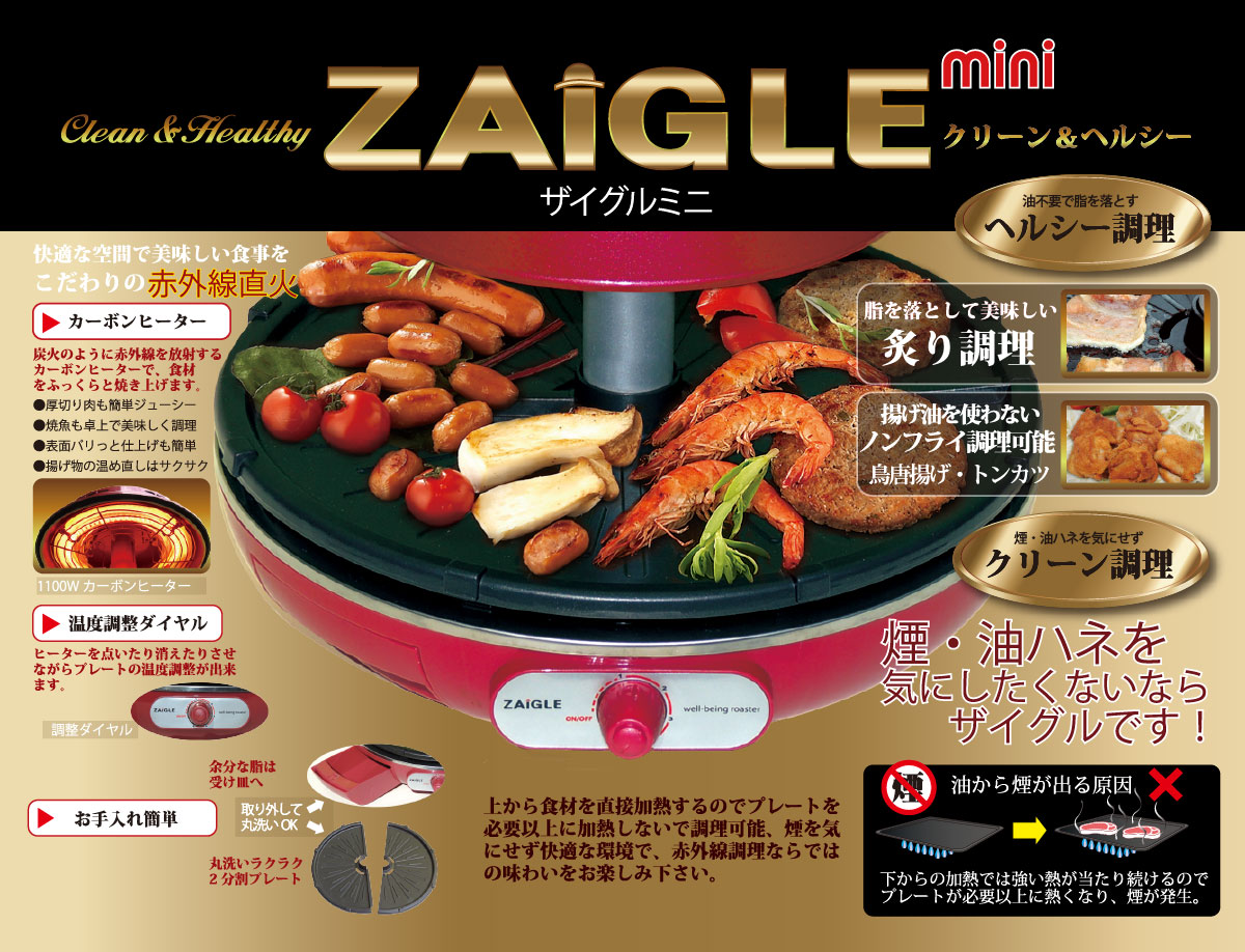 ZAIGLE Mini ZG-D321 Infrared Ray Well-being Roaster Indoor